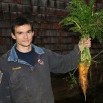Happy  carrots grown with our Chicken Gold