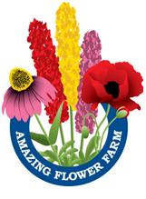 Opening day for Spring 2013 is Saturday, April 27