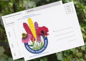 plant card