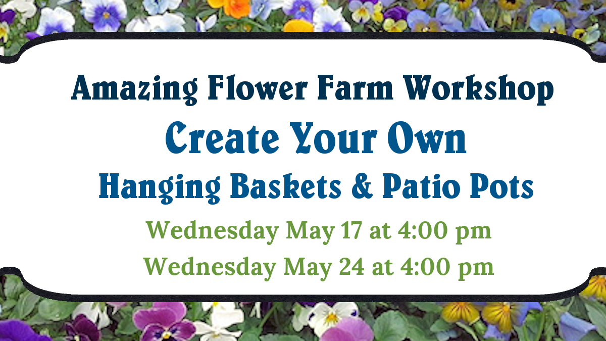 Make Your Own Hanging Baskets and Patio Pots