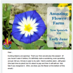 Early June Newsletter