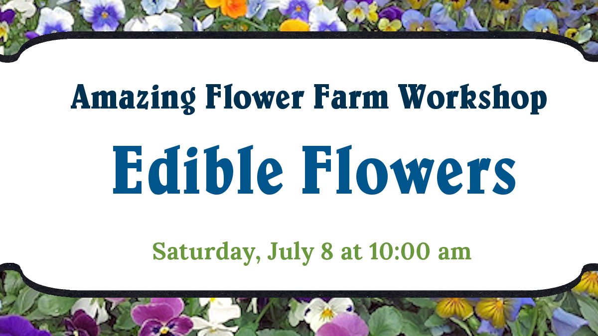 Edible Flowers Workshop