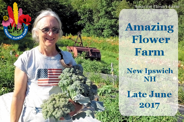 Newsletter Late June