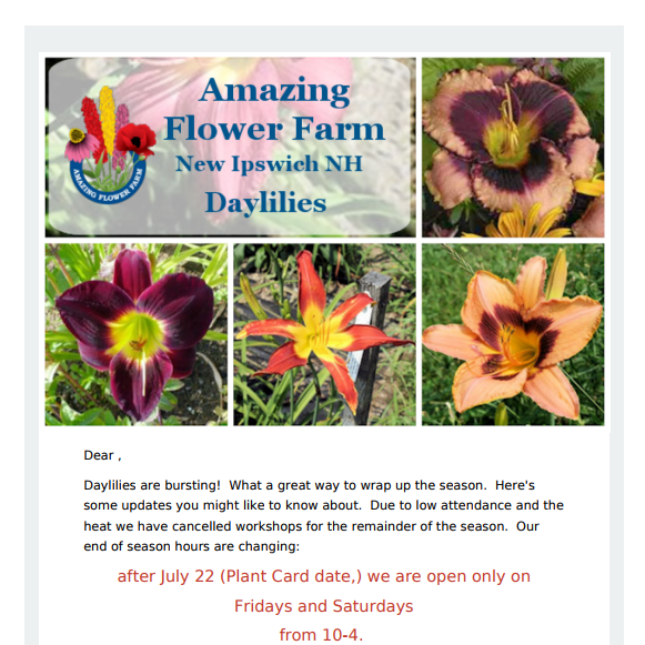 Amazing Flower Farm Newsletter Late July 2017