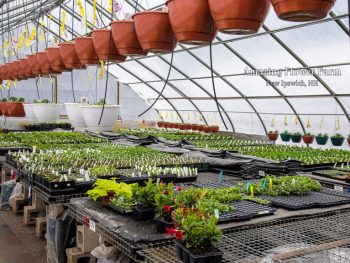 Spring Preparation Slideshow