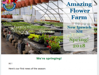 Amazing Flower Farm Newsletter Spring 2018