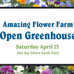 Open House