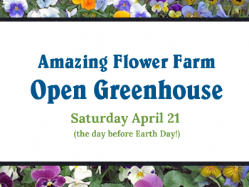 Amazing Flower Farm Open House