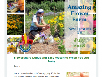 Flowershare Debut and Easy Watering When You Are Away – July 2018 Newsletter