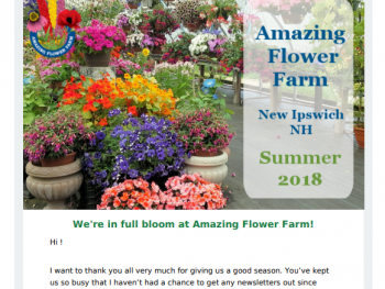 Amazing Flower Farm Newsletter Summer 2018