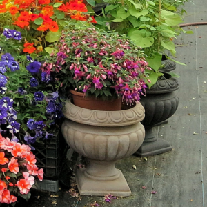 urn
